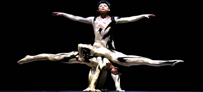 shanghai centre theatre acrobatics
